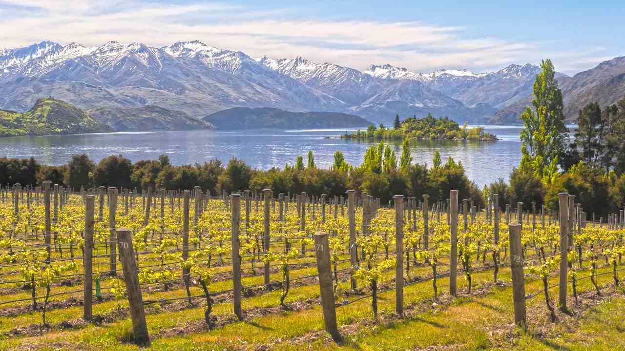 World’s best vineyards for 2019 revealed