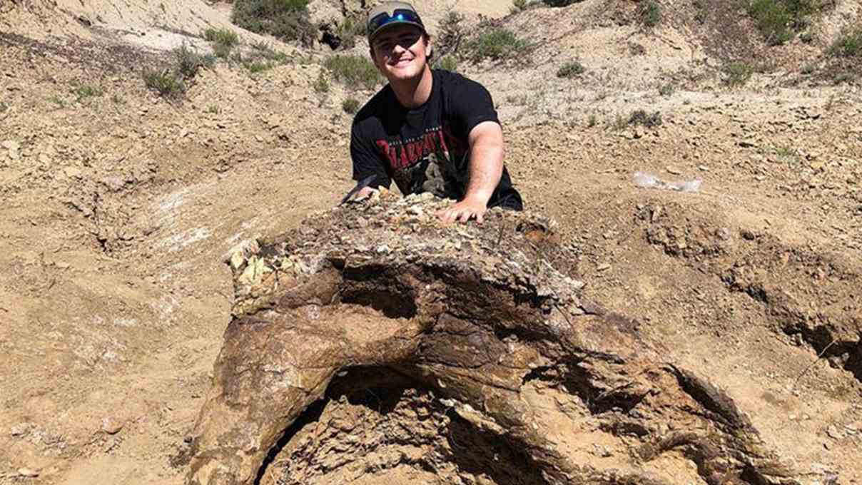 Student’s 65-million-year-old extremely rare find