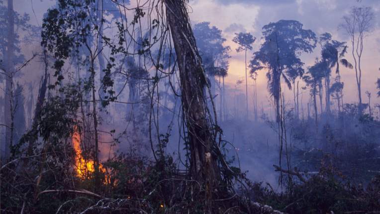 The Amazon is burning: 4 essential reads on Brazil’s vanishing rainforest