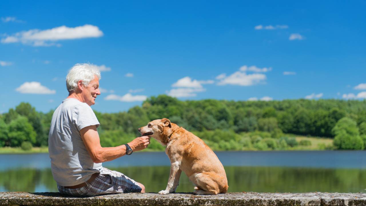 5 everyday habits of great dog owners