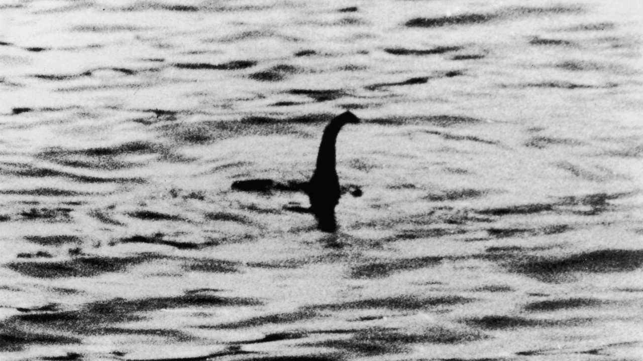 Loch Ness monster: DNA analysis brings new theory to light 