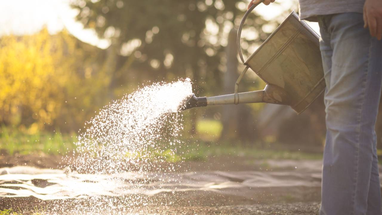 Swimming pool bans and $50K fines: What the new water restrictions mean for you