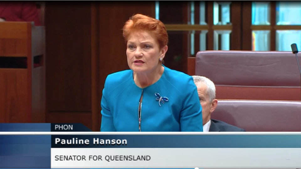“Forced to defend himself”: Pauline Hanson makes extraordinary claims in parliament about son’s ex-wife