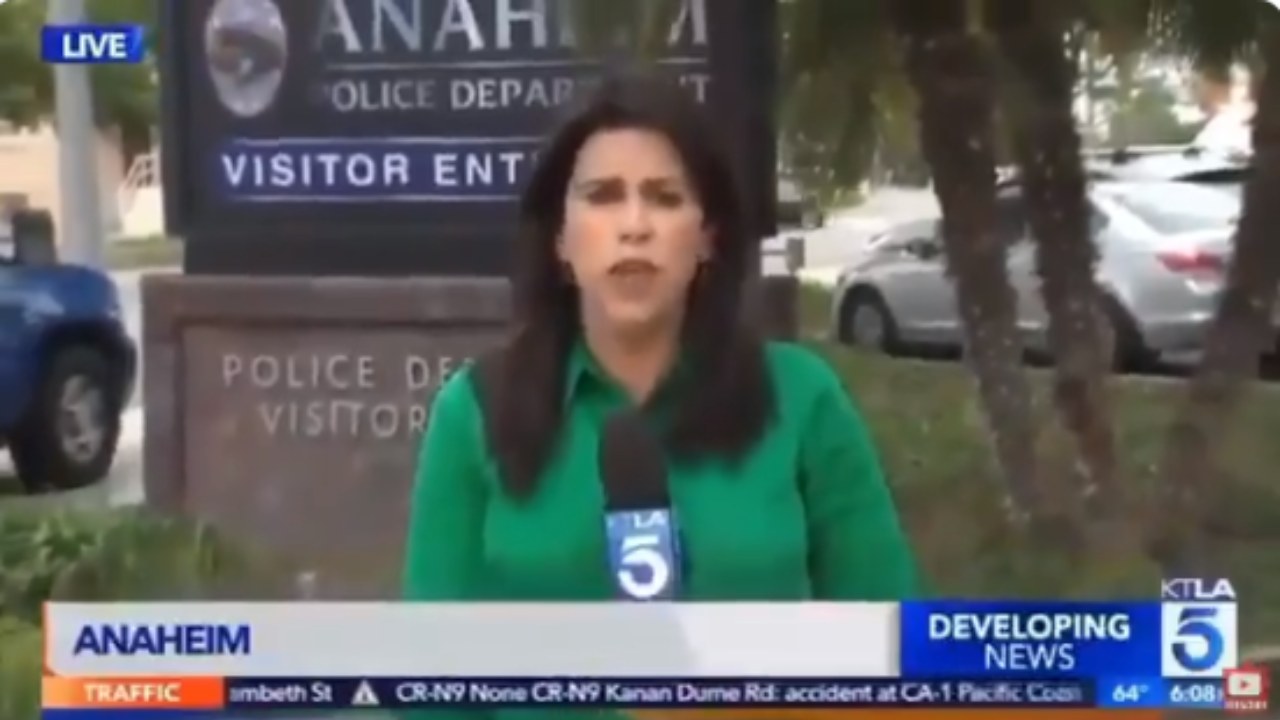 News reporter’s on-air gaffe goes viral