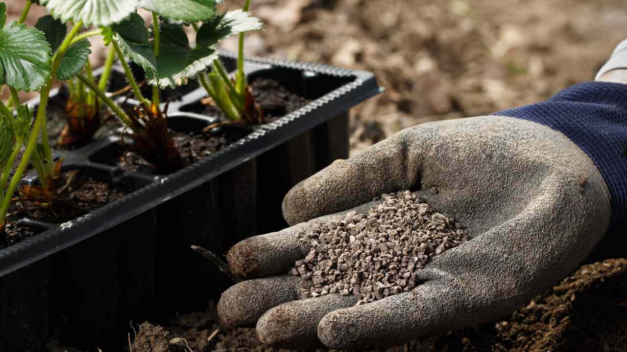 7 surprising fertilisers for your garden
