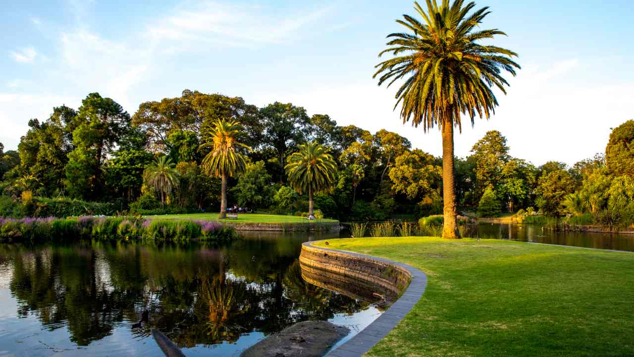 'Music to Play to Plants' hits the Royal Botanic Gardens in Victoria