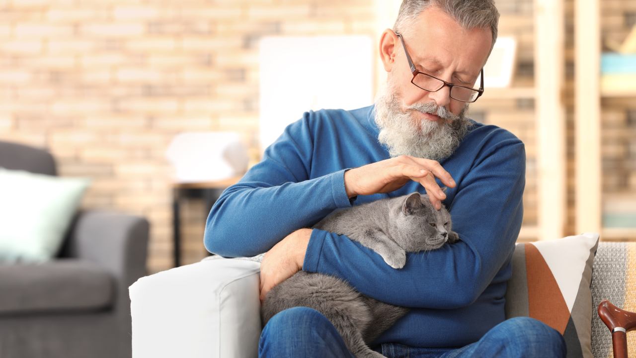 Good news for cat lovers! New study finds cats are just as “emotionally attached” to us as dogs or infants