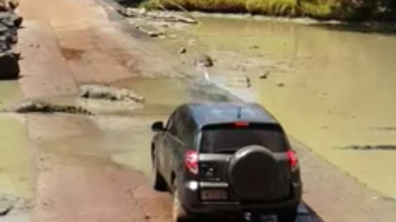 Tourists overrun with crocs after exploring Arnhem Land