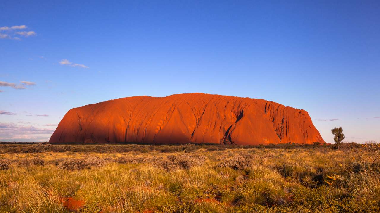 "Glad to be alive": 12-year-old takes 20m tumble on Uluru climb