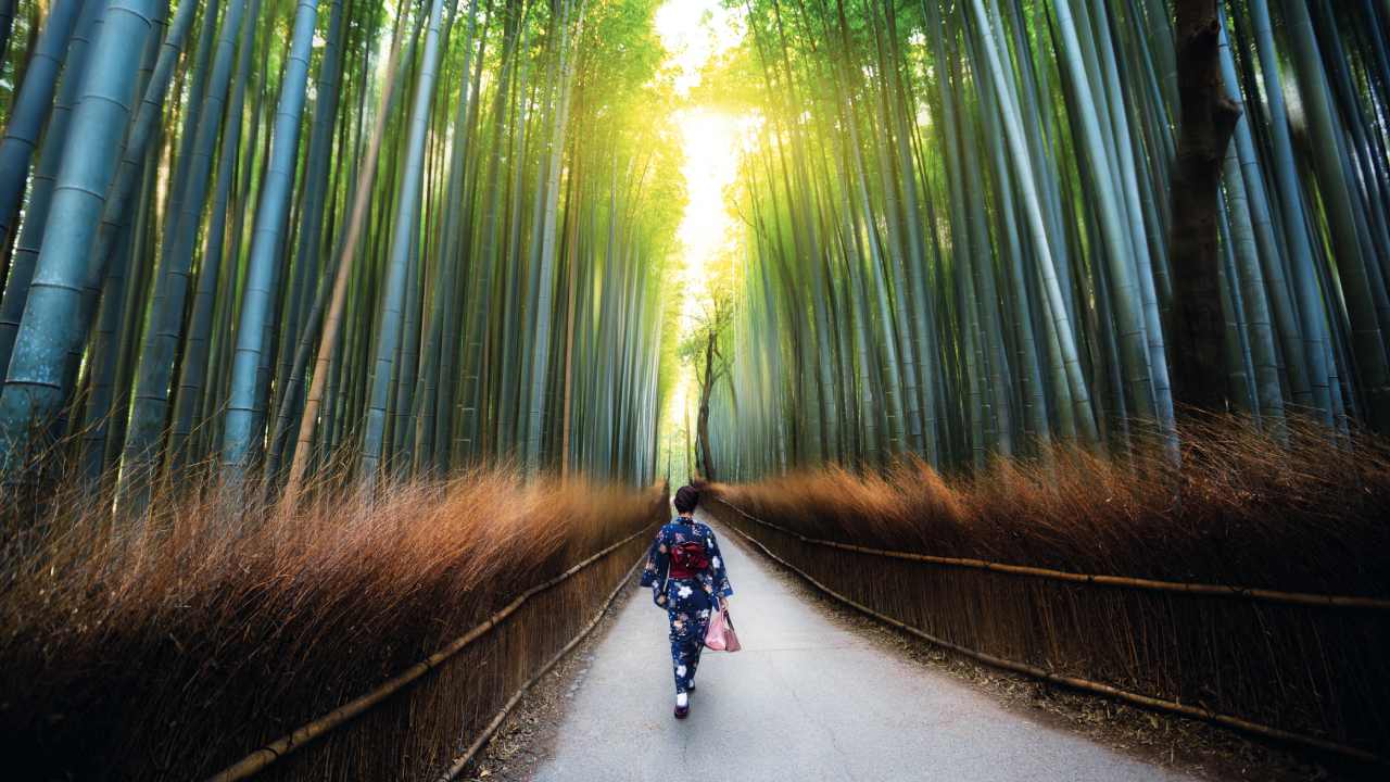5 reasons why Japan and China should be your next travel destination
