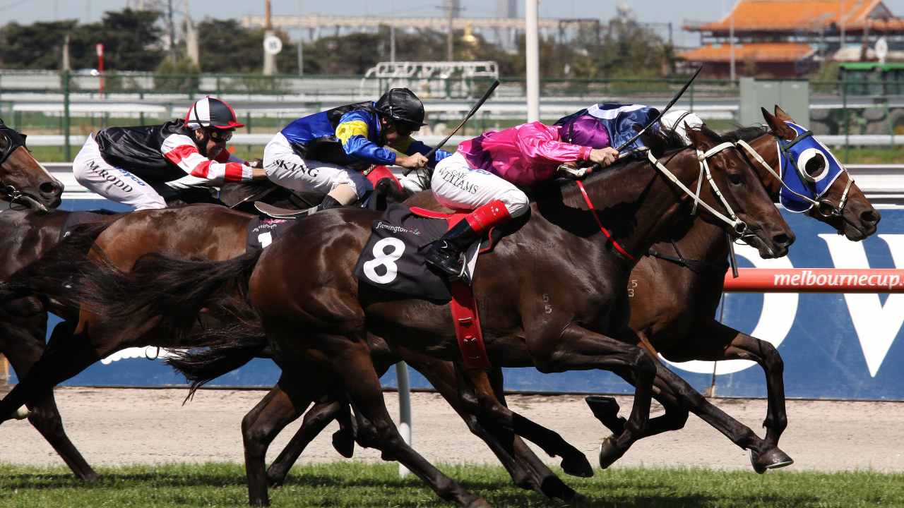 Former bookie backs Melbourne Cup outsider to win $1 million