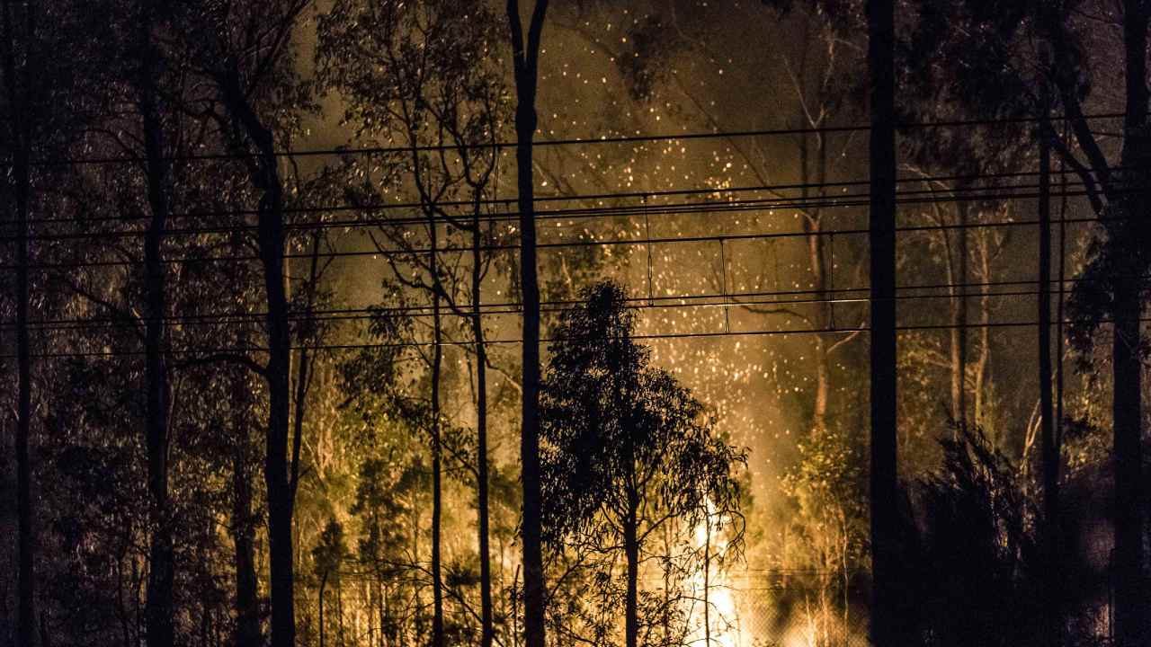 “As bad as it gets”: Catastrophic conditions forecast for NSW and QLD bushfires