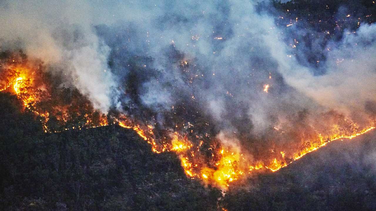 Stupid, vile and dangerous: all of the idiotic things people have done during the NSW total fire ban 