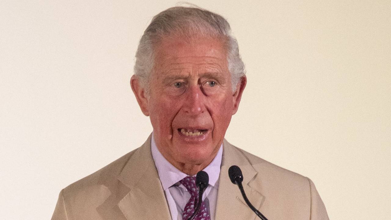 Prince Charles expresses concerns for his grandchildren’s future as climate change reaches “tipping point”