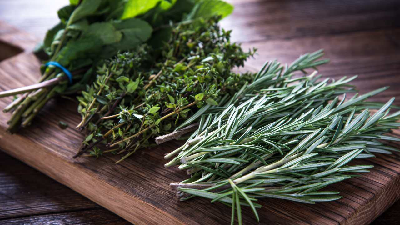3 hacks to keep your herbs fresher for longer