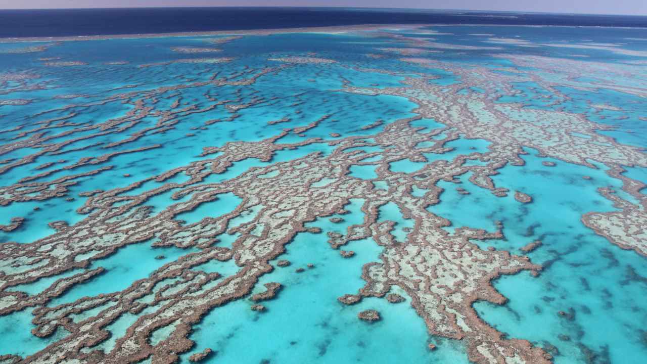 New $10 million floating hotel lets you stay in the Great Barrier Reef