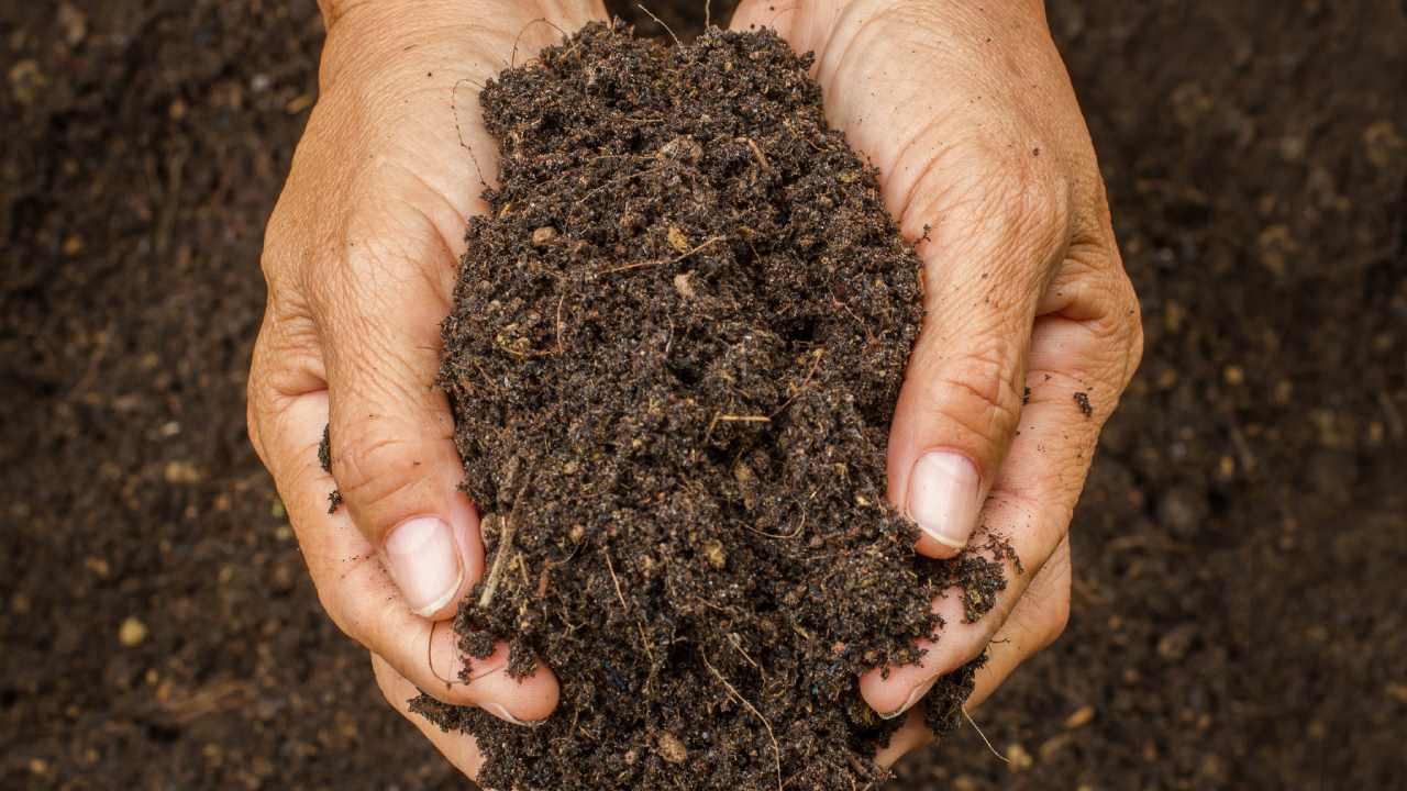 5 ways to enrich garden soil