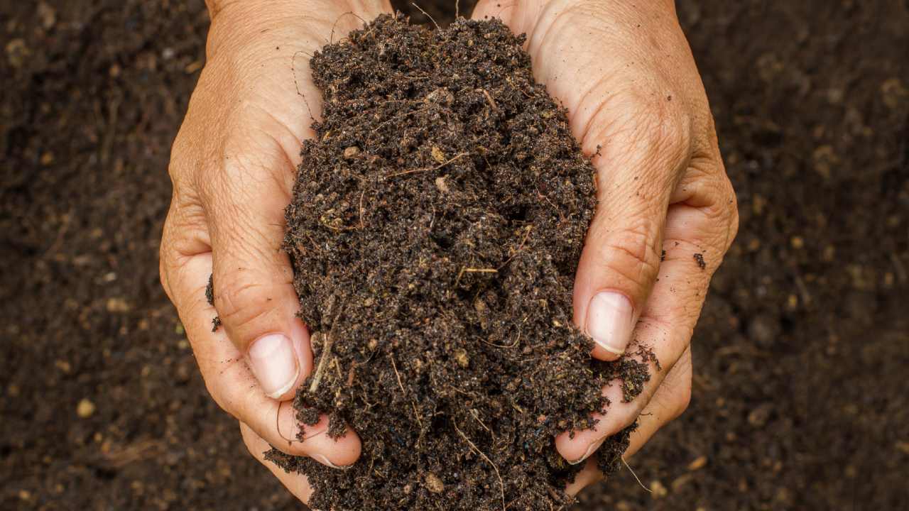 mixing grass clippings into soil