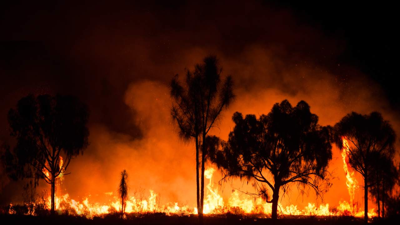 Making sense of Australia's bushfire crisis