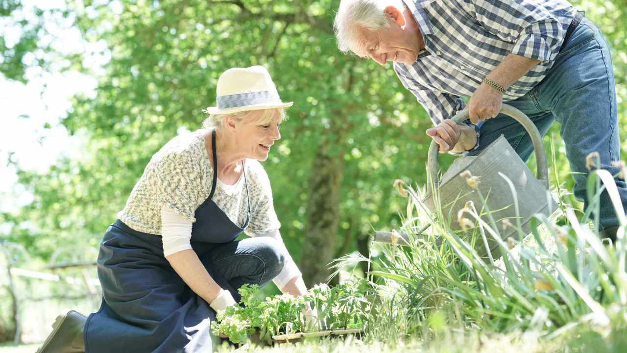 3 things a first-time gardener needs to know