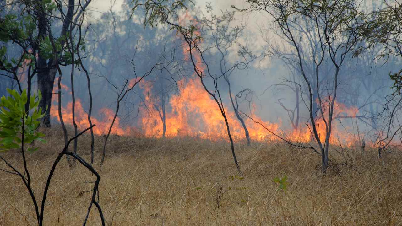 Make bushfires less powerful by acknowledging the three pillars