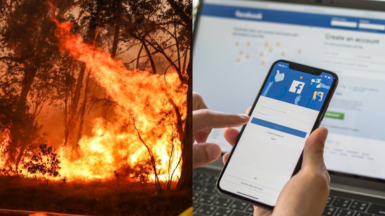 The best, smartest post about the bushfires you'll ever read