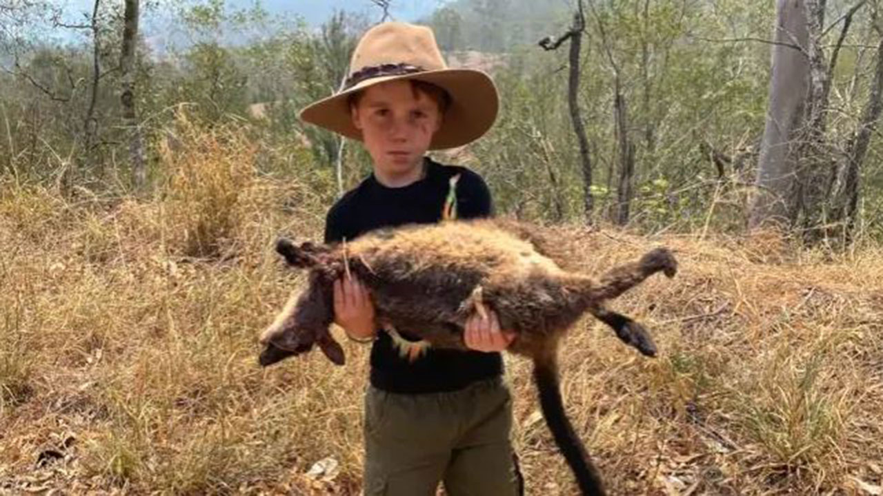 “Dad, everything is dying”: Boy’s heartbreak after discovering dead wallaby from the bushfires