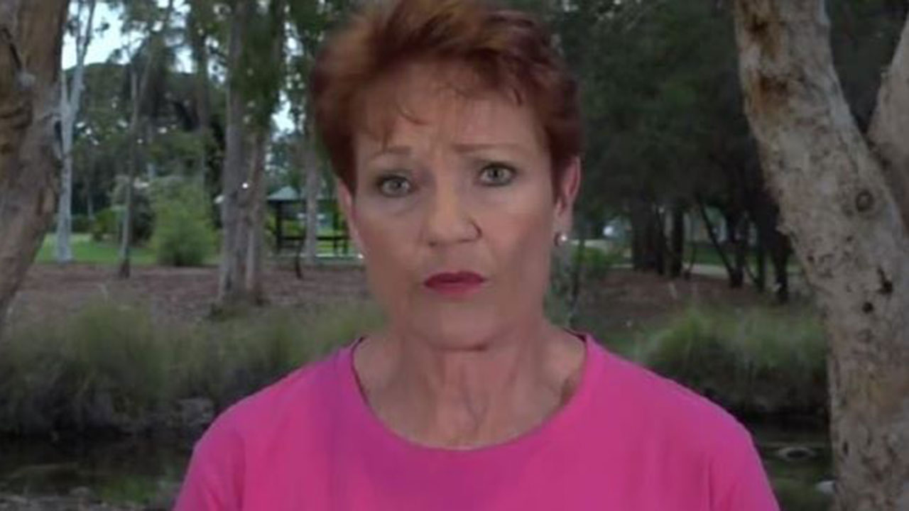 “Let the true facts come out”: Pauline Hanson’s bushfire stance