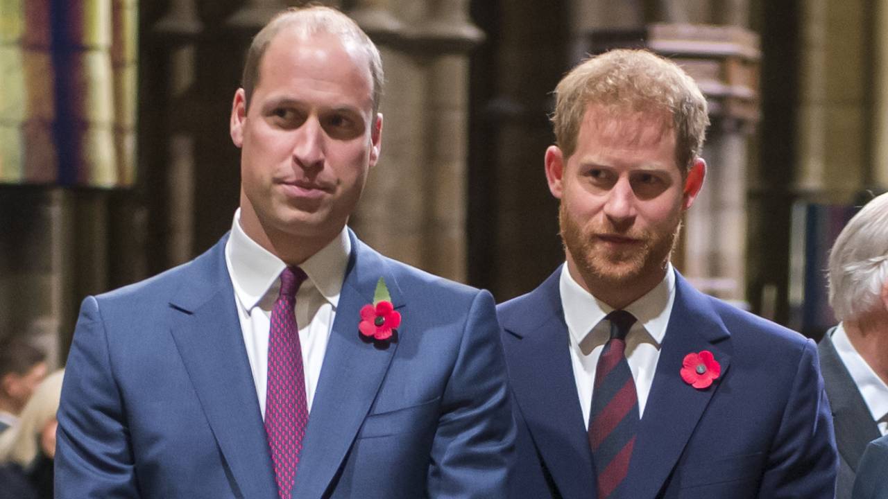 Prince Harry and William stand together against false claims