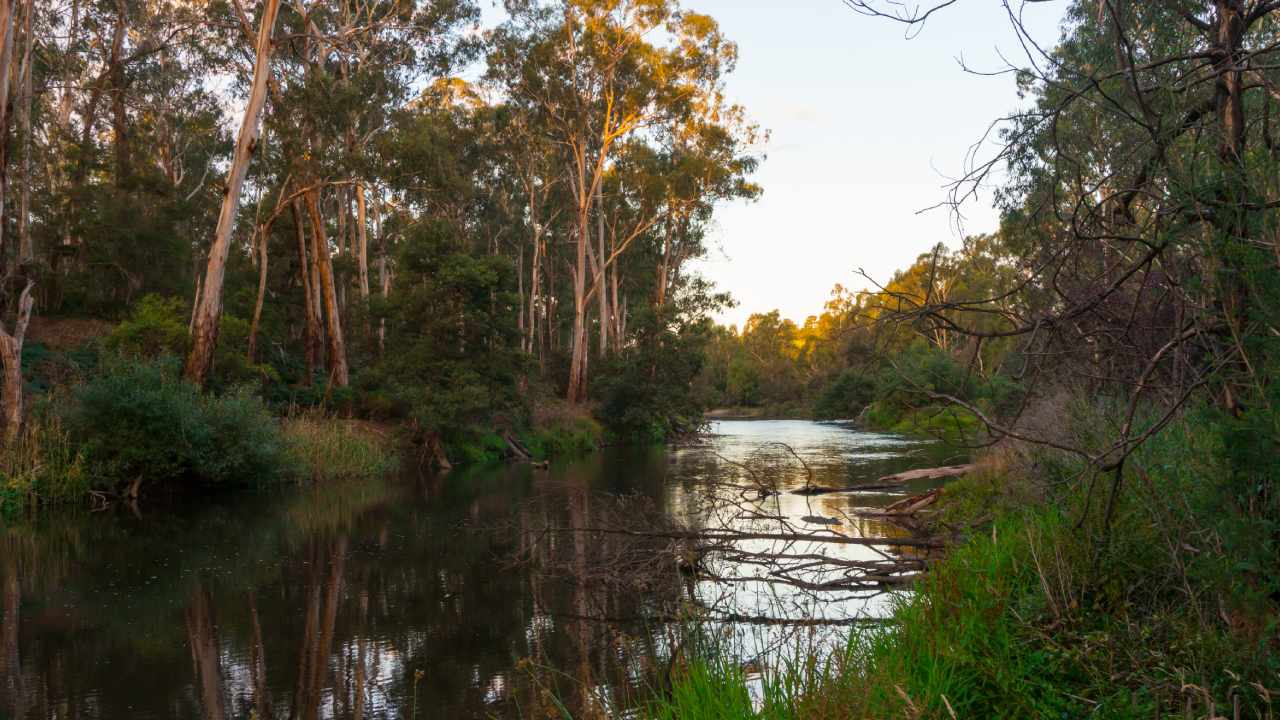 The relief of rain after bushfires spells disaster for Aussie river systems