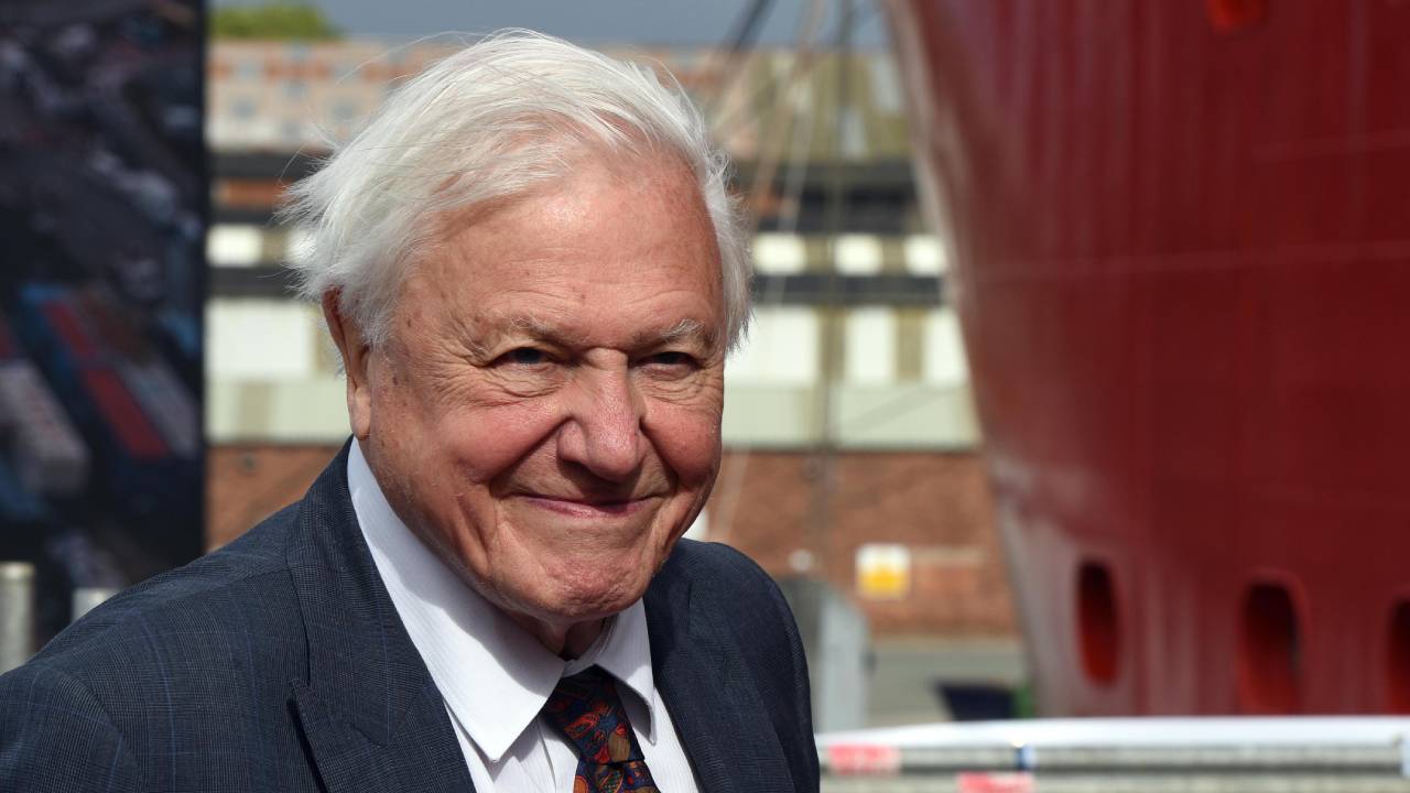 “This is not playing games”: David Attenborough slams Australian government amid bushfire crisis