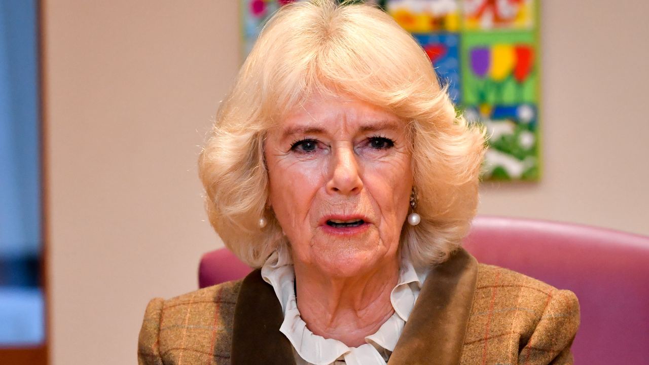Duchess Camilla speaks out on Prince Harry and Duchess Meghan’s departure