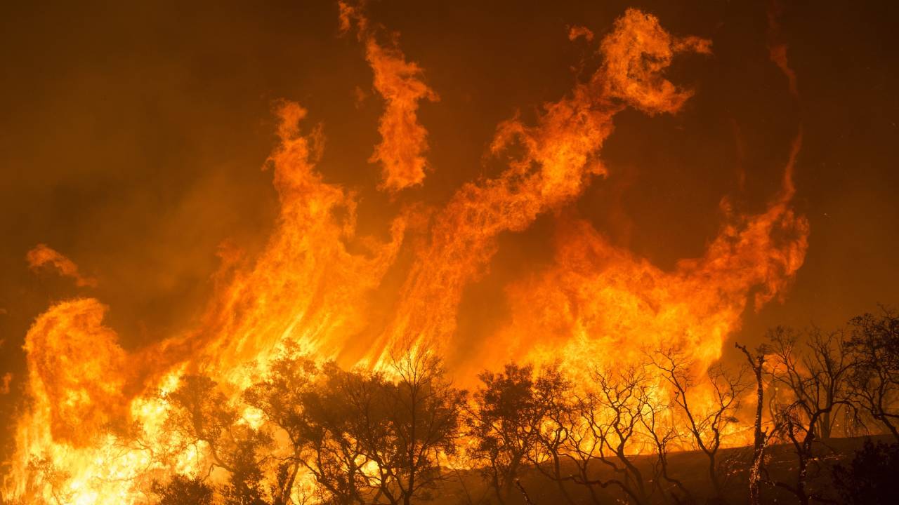 Here's what each bushfire status actually means