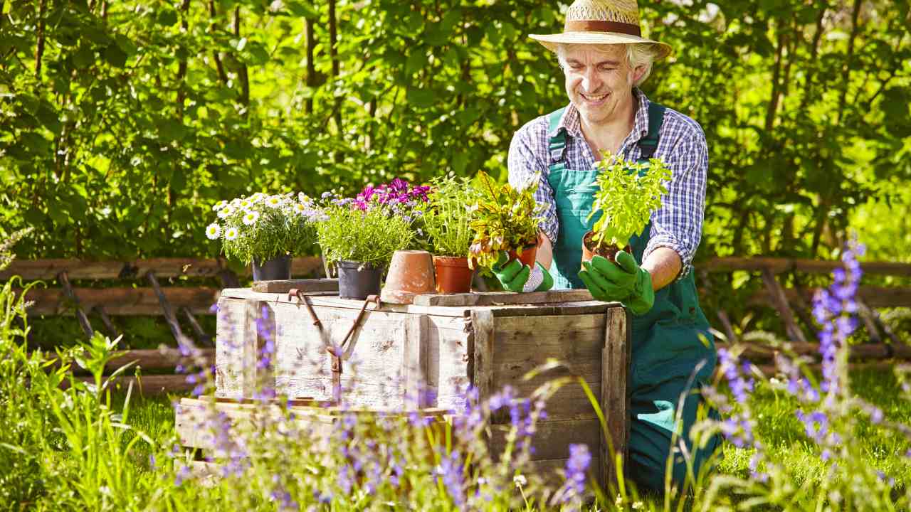 The science is in: Gardening is good for you