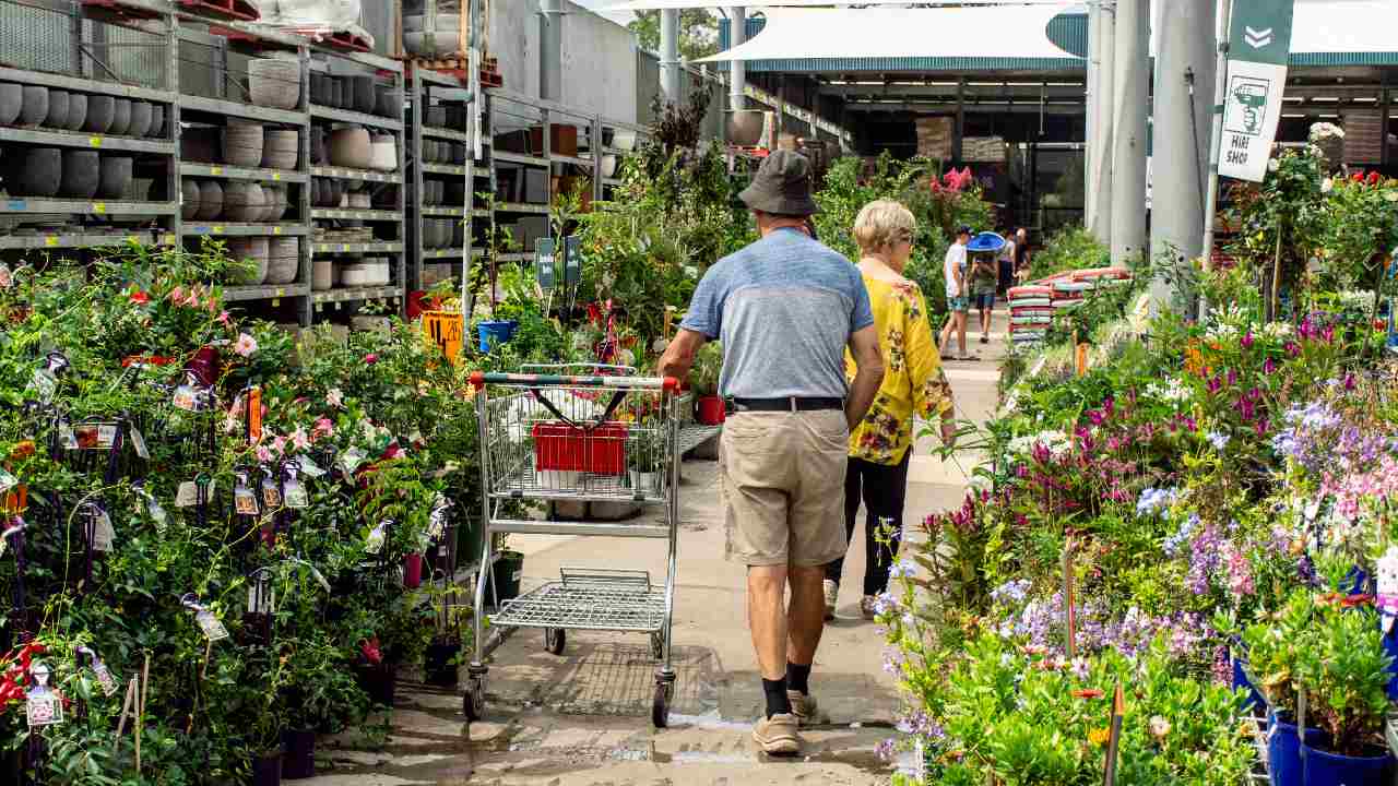 The Bunnings promise that's a godsend for terrible gardeners