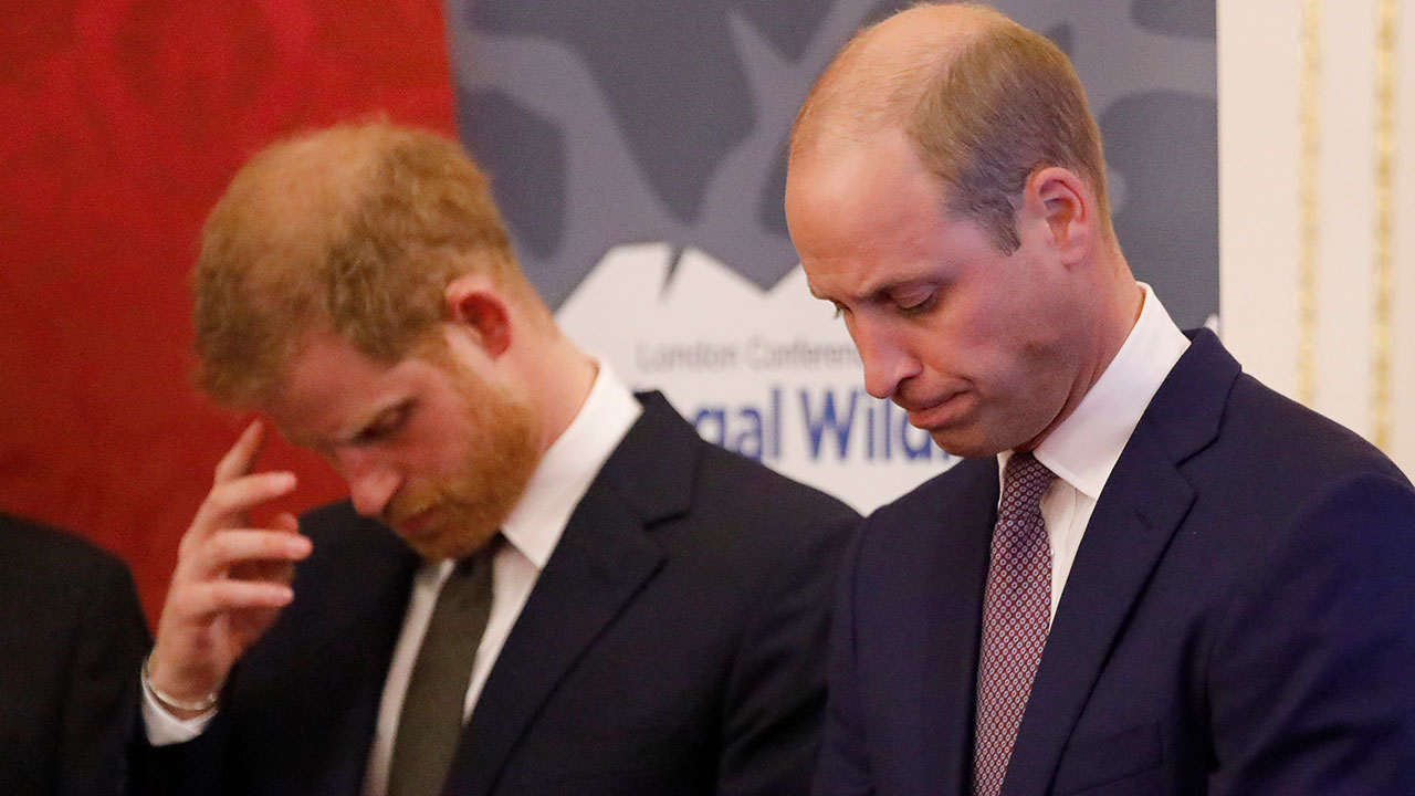 Prince William and Prince Harry mourn loss of family member