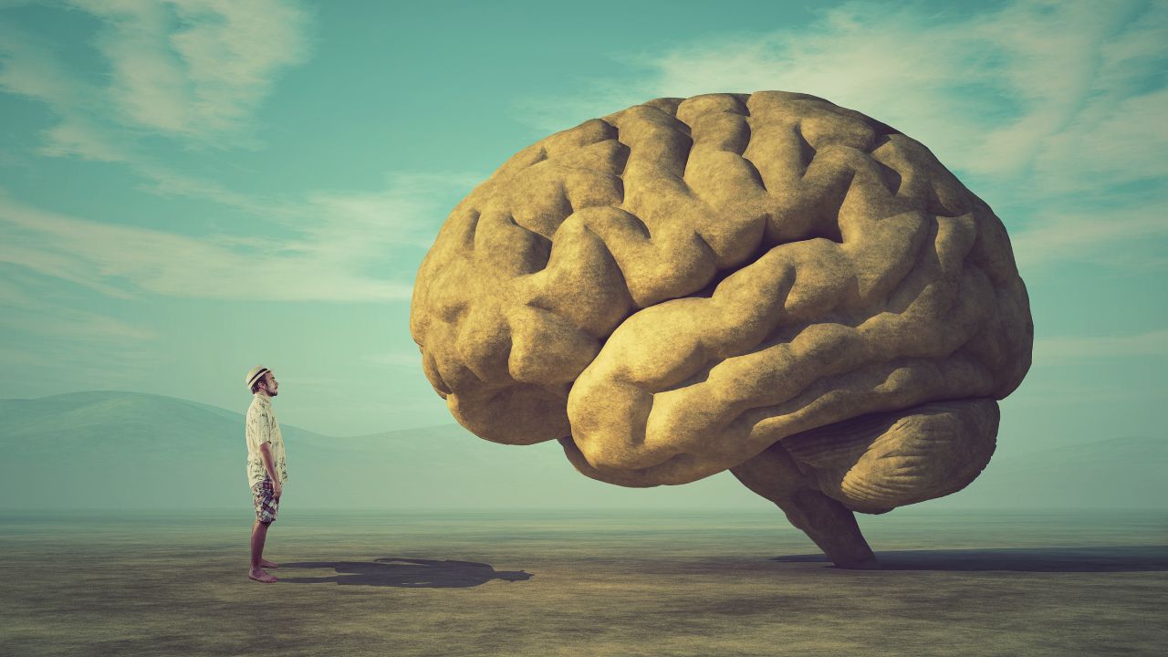 5 amazing facts about your brain