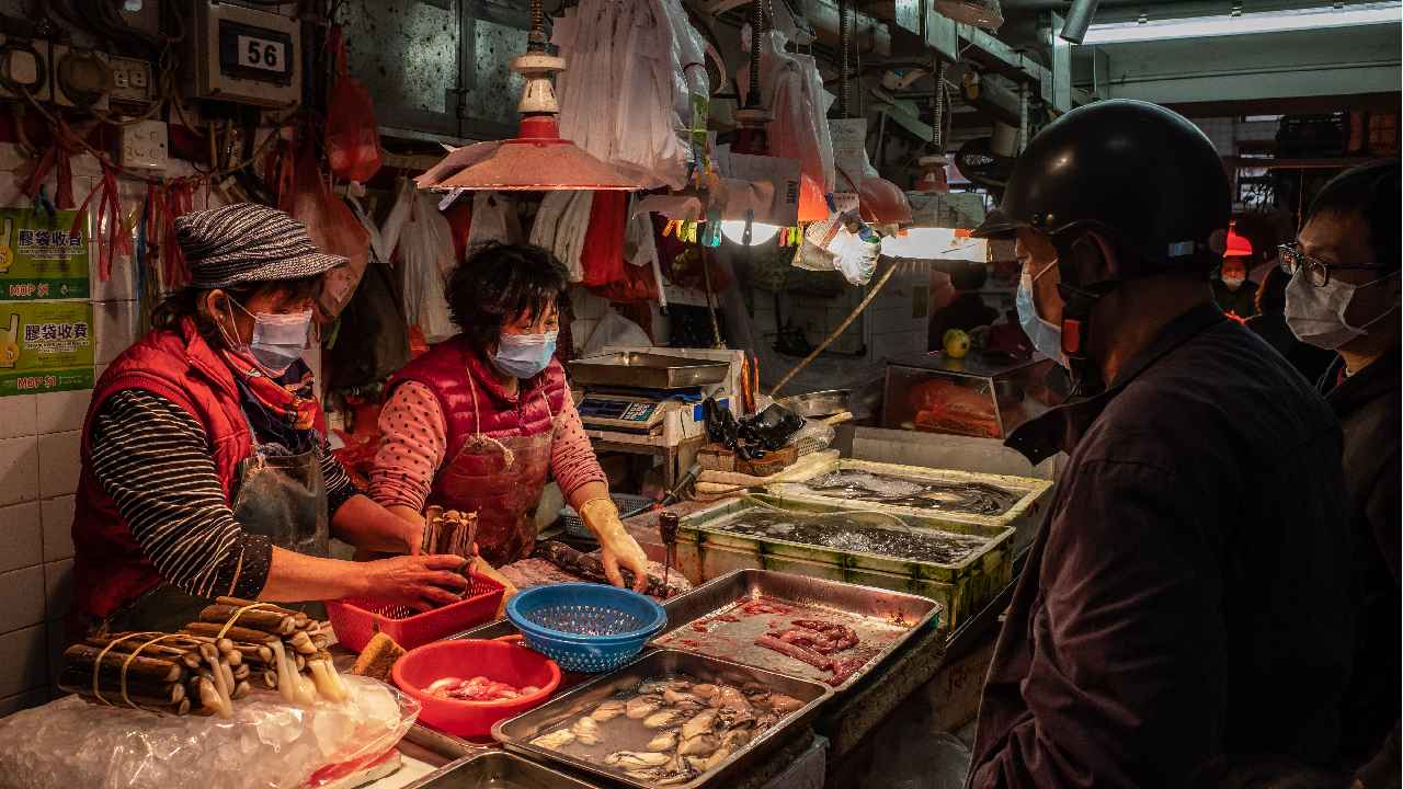 Chinese wet markets still selling bats