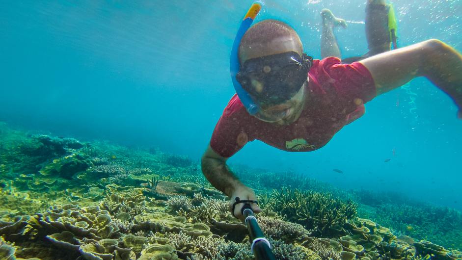 We just spent two weeks surveying the Great Barrier Reef – What we saw was an utter tragedy