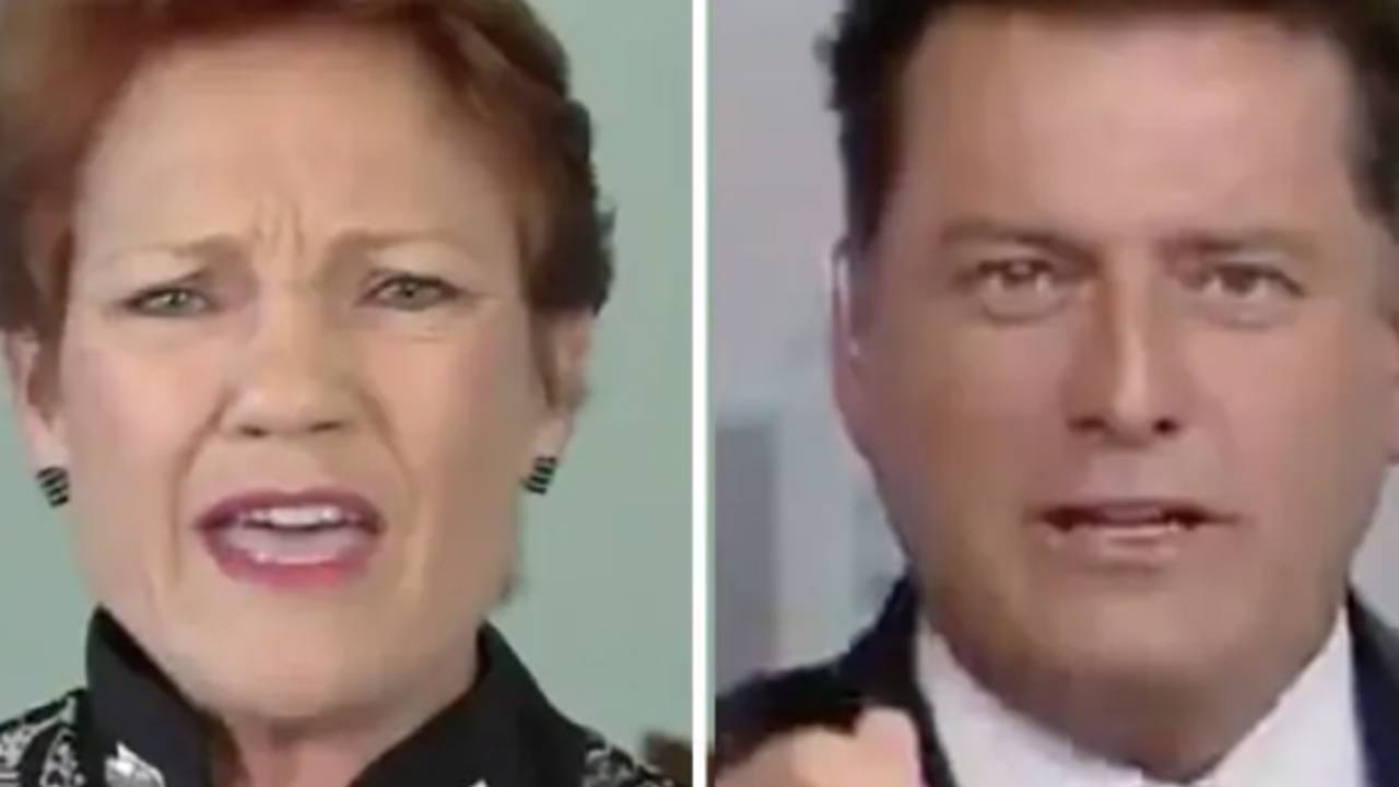 Pauline Hanson clashes with Karl Stefanovic on Today