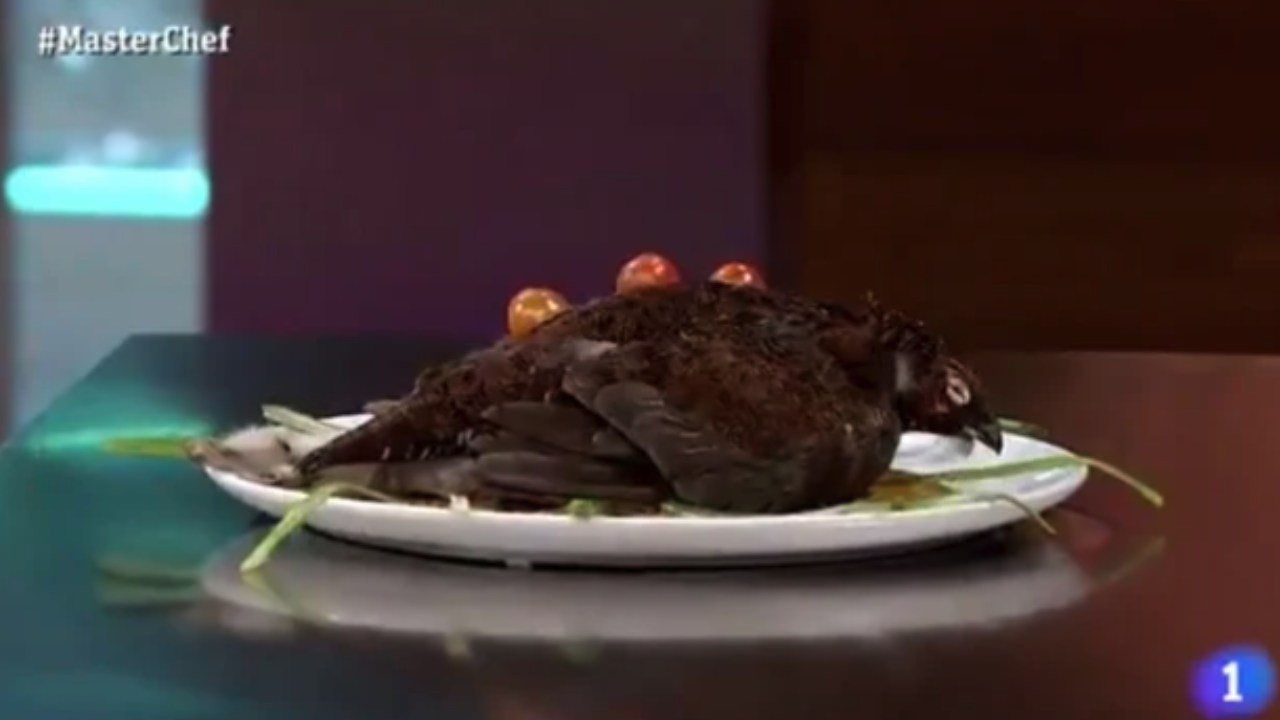 MasterChef contestant kicked out after serving dead bird to the judges