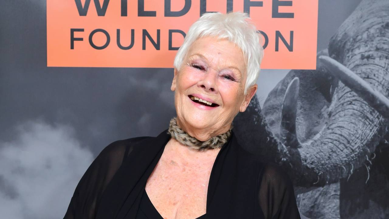 Dame Judi Dench's racy regret