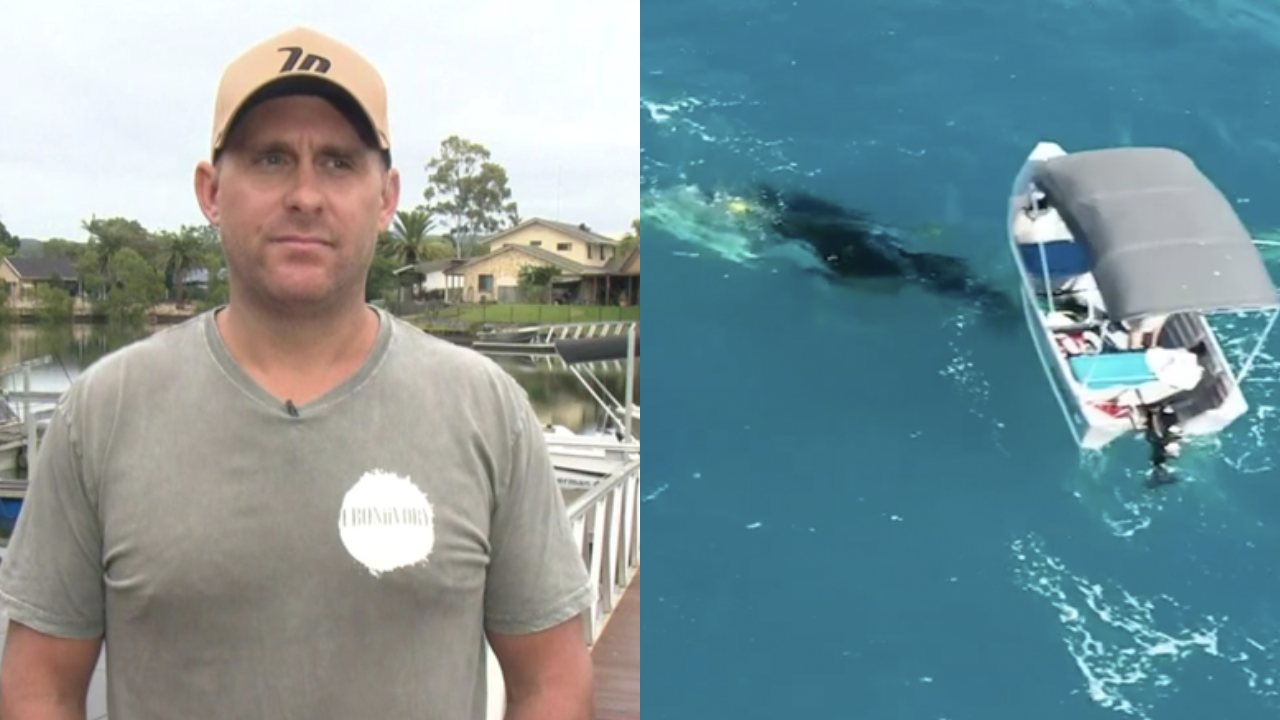 Man who rescued baby whale plans to donate fine funds to marine charities