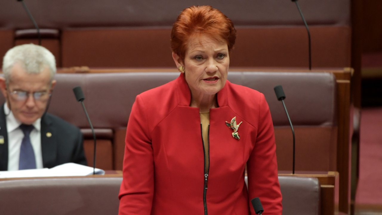 Pauline Hanson launches GoFundMe page to battle QLD border closures 