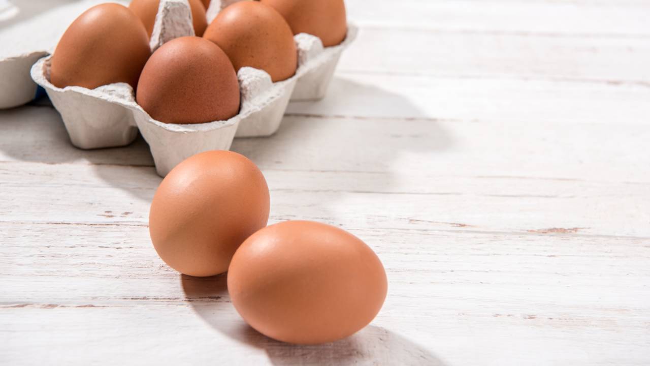 Egg alert: NSW eggs suspected in salmonella outbreak