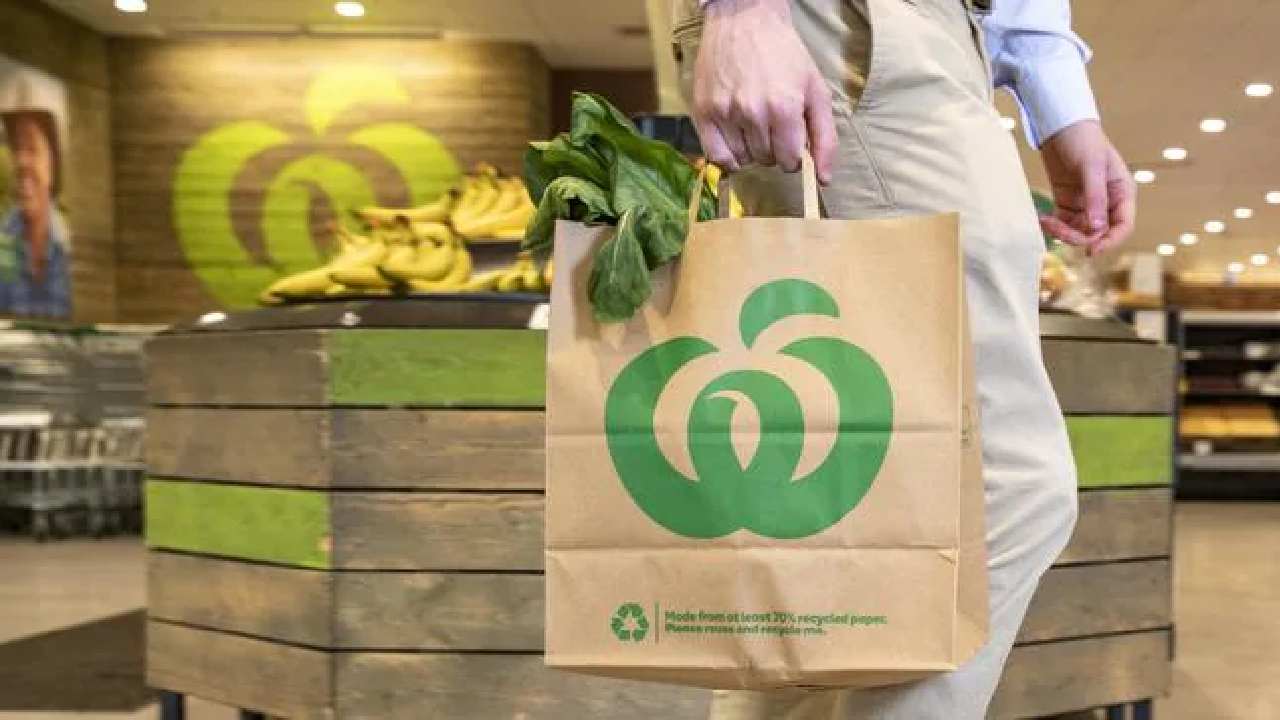 reusable plastic bags woolworths