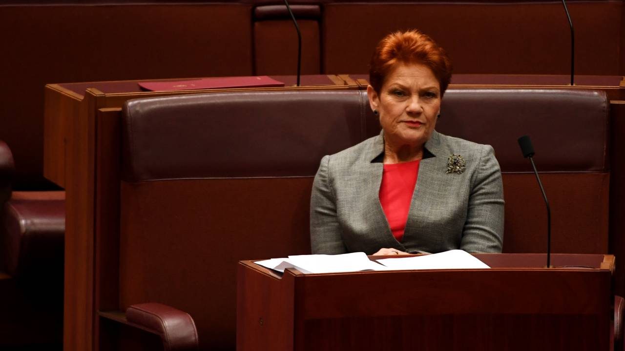 Pauline Hanson sparks outrage after branding George Floyd as a “criminal and dangerous thug”