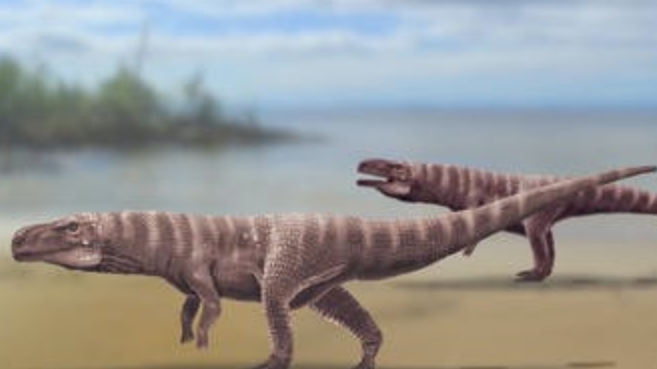 120 million years ago: Giant crocodiles walked on two legs 