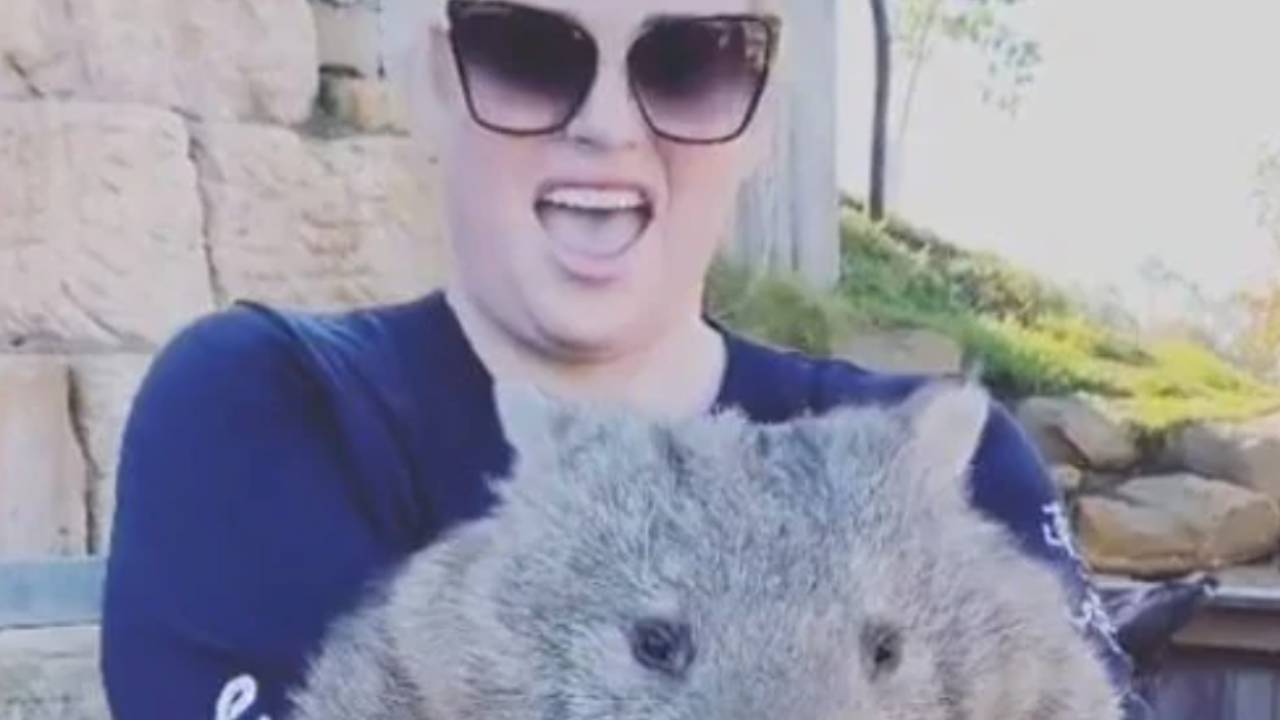 Rebel Wilson sparks controversy after “appalling” stunt