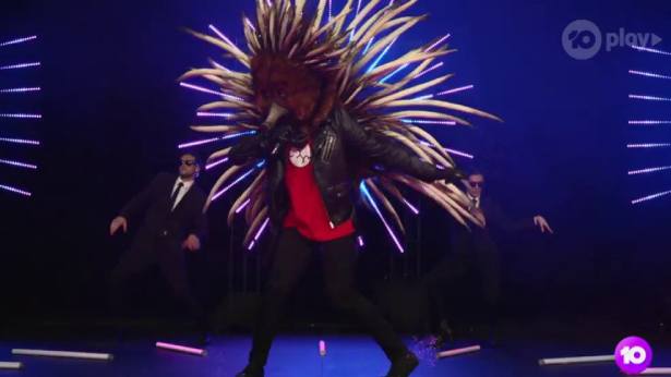 Masked Singer's Echidna revealed on first night